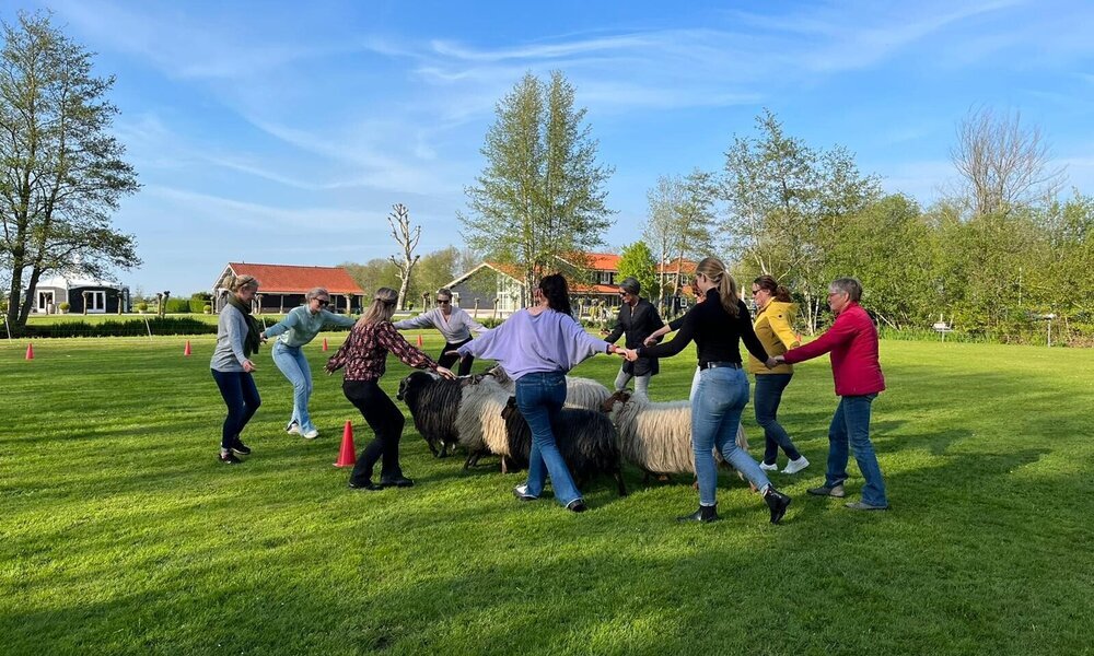 De waarde van de "Fun Factor" tijdens een zakelijk event